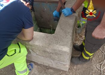'Assistente scesa a mani nude