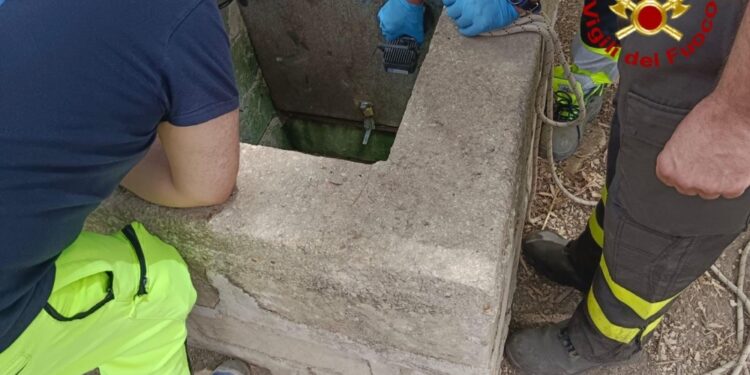 'Assistente scesa a mani nude