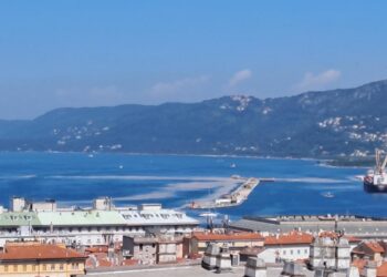 Ampie chiazze lungo le Rive. Curiosità di turisti e cittadini