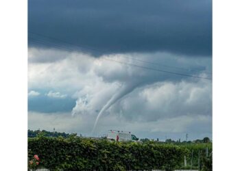 Oltre 100 chiamate ai vigili del fuoco