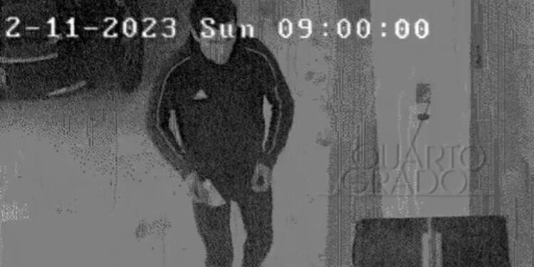 Portatile della ragazza gettato dall'auto in una strada a Aviano