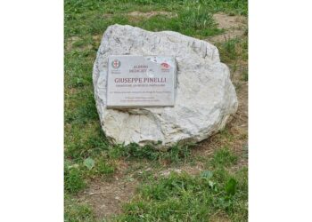 Appello dell'Anpi