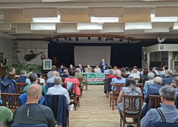 cisl del laghi