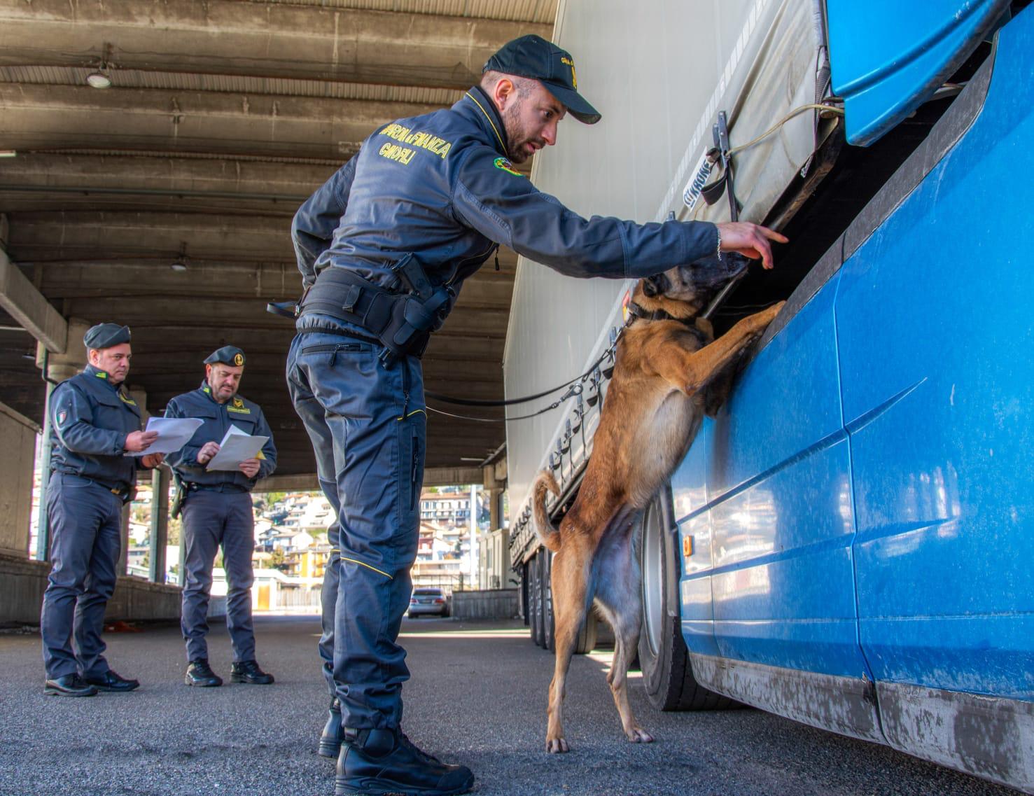 In viaggio da Amsterdam verso Napoli con oltre 100 ovuli di droga, arrestato in dogana nigeriano di 36 anni