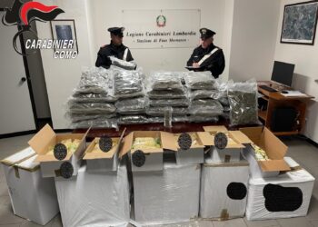 Sequestro di droga in provincia di Como
