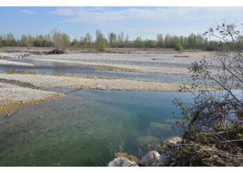 I primi risultati dell'autopsia sul giovane ritrovato nel Piave