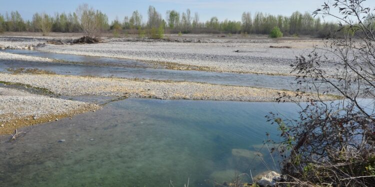 I primi risultati dell'autopsia sul giovane ritrovato nel Piave