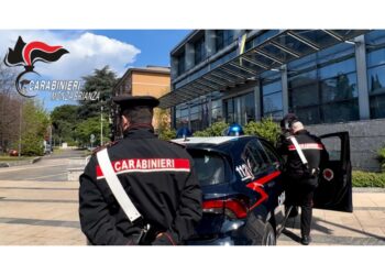 I successivi accertamenti in ospedale hanno confermato gli abusi
