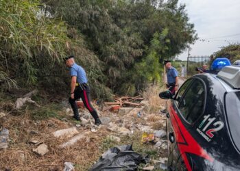 La donna avrebbe avuto la piccola in braccio su sedile anteriore