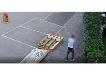 Il trapper a processo in abbreviato. Il pm