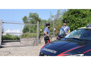 Il suocero