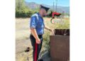 Scoperto nel Catanese un allaccio abusivo con tubo di 130 metri
