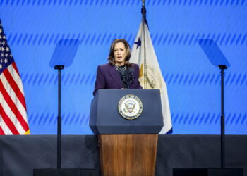 'Ha eroso i sei punti di vantaggio che il tycoon aveva su Biden'