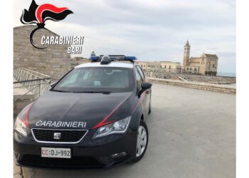 Operazione dei carabinieri di Trani