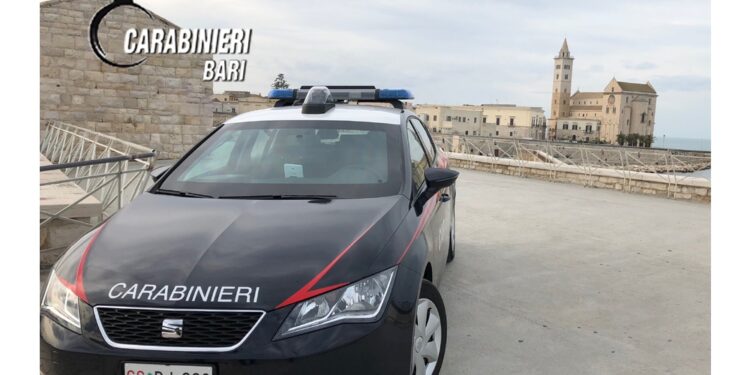 Operazione dei carabinieri di Trani
