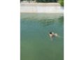 Ragazzi a nuoto nel canale