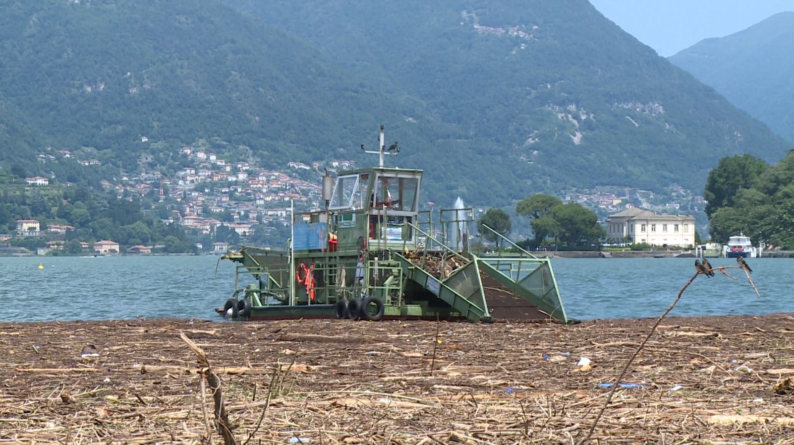 Maltempo nel Comasco, i violenti temporali trasformano il lago in un tappeto di detriti