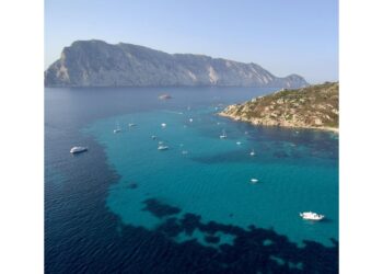 Appello ai vacanzieri per tutelare ambiente e fauna marina