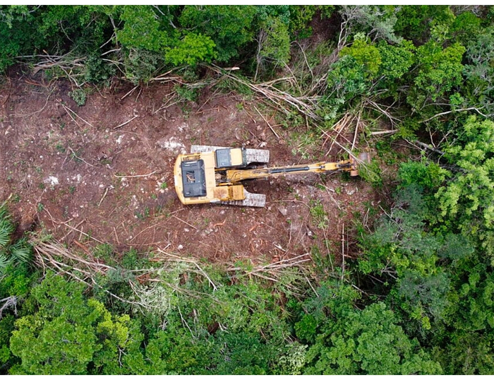Greenpeace, ‘fermato un megaprogetto nella giungla Maya’
