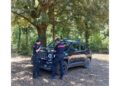 Carabinieri forestali lo bloccano mentre appicca fiamme a bosco
