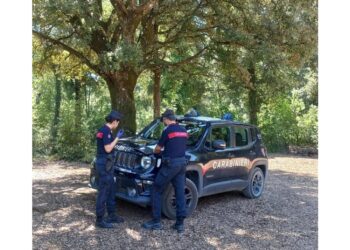 Carabinieri forestali lo bloccano mentre appicca fiamme a bosco