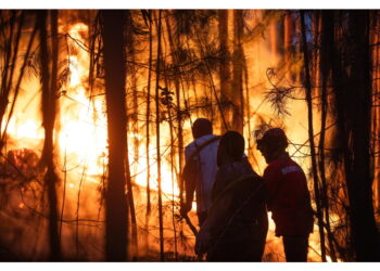 Migliaia di evacuati