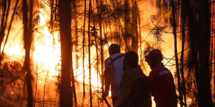 Migliaia di evacuati