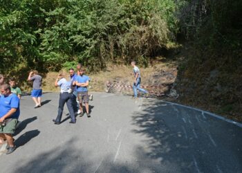 Nel bellunese alla Pedavena-Croce d'Aune
