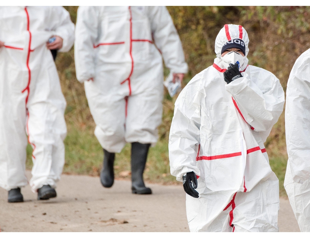 Usa primo caso influenza aviaria senza contatto con polli EspansioneTv