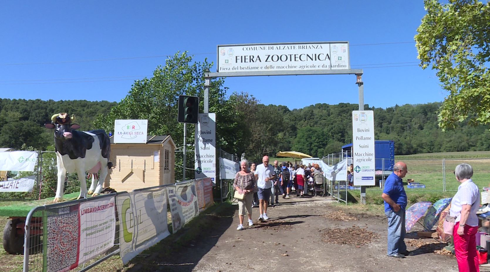 Alzate, Fiera Secolare della Madonna di Rogoredo: successo per l’evento con la giornata dedicata alla Fiera zootecnica