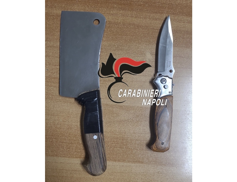 13enne con mannaia e 14enne con coltello, 'dobbiamo difenderci' -  EspansioneTv