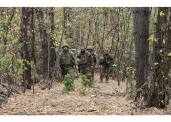 Lo ha detto il portavoce Dmitry Peskov