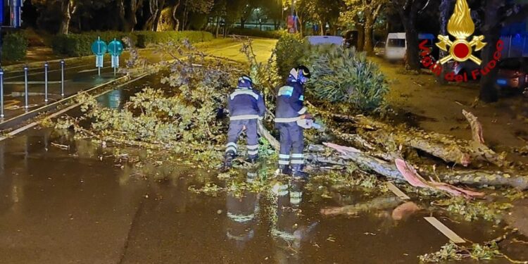 Un centinaio gli interventi dei vigili del fuoco