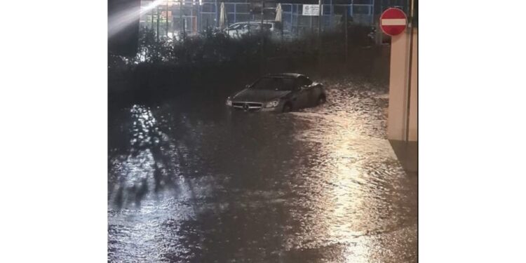 Nel territorio di Campiglia Marittima