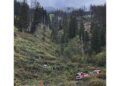Incidente avvenuto a Costa (Badia) verso le 8