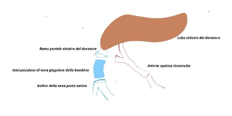 Alle Molinette di Torino