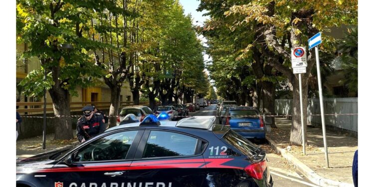 Trovato durante lavori. Sul posto artificieri dei Carabinieri