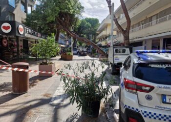 Raffiche hanno raggiunto i settanta chilometri orari