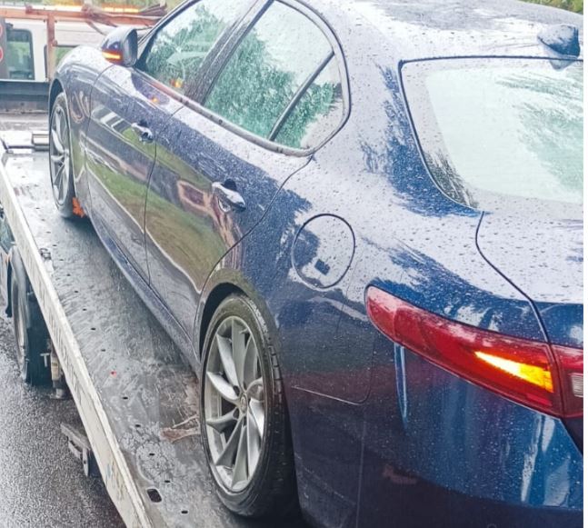 Como: cinghiale attraversa in via Pannilani e l’auto finisce fuori strada. Traffico deviato