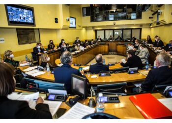Cestaro (Lega) durante approvazione Osservatorio violenza donne