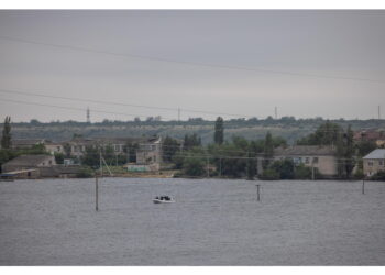 Nel Donetsk