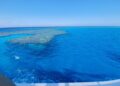 In Egitto al largo di Marsa Alam
