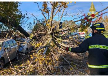Numerosi interventi dei vigili del fuoco