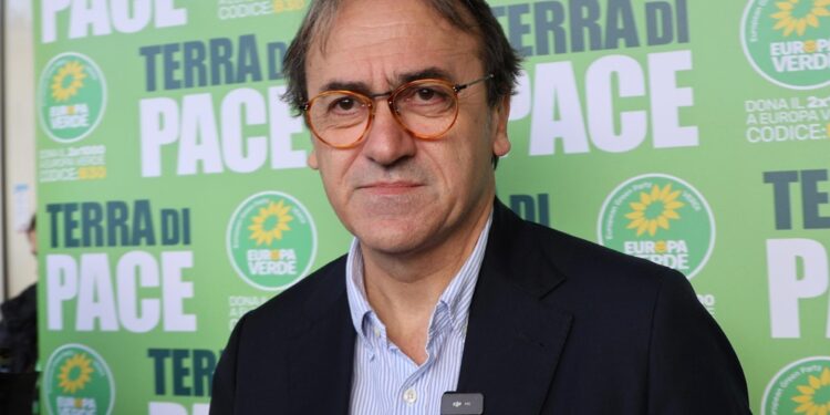 Co-portavoce Europa Verde a Dublino