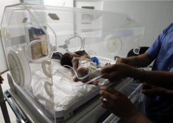 Gip ha dichiarato il non luogo a procedere