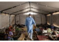 Valutazione in base a documenti ufficiali del Paese africano