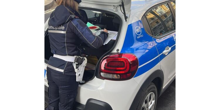 Fino alle 13 sei verbali