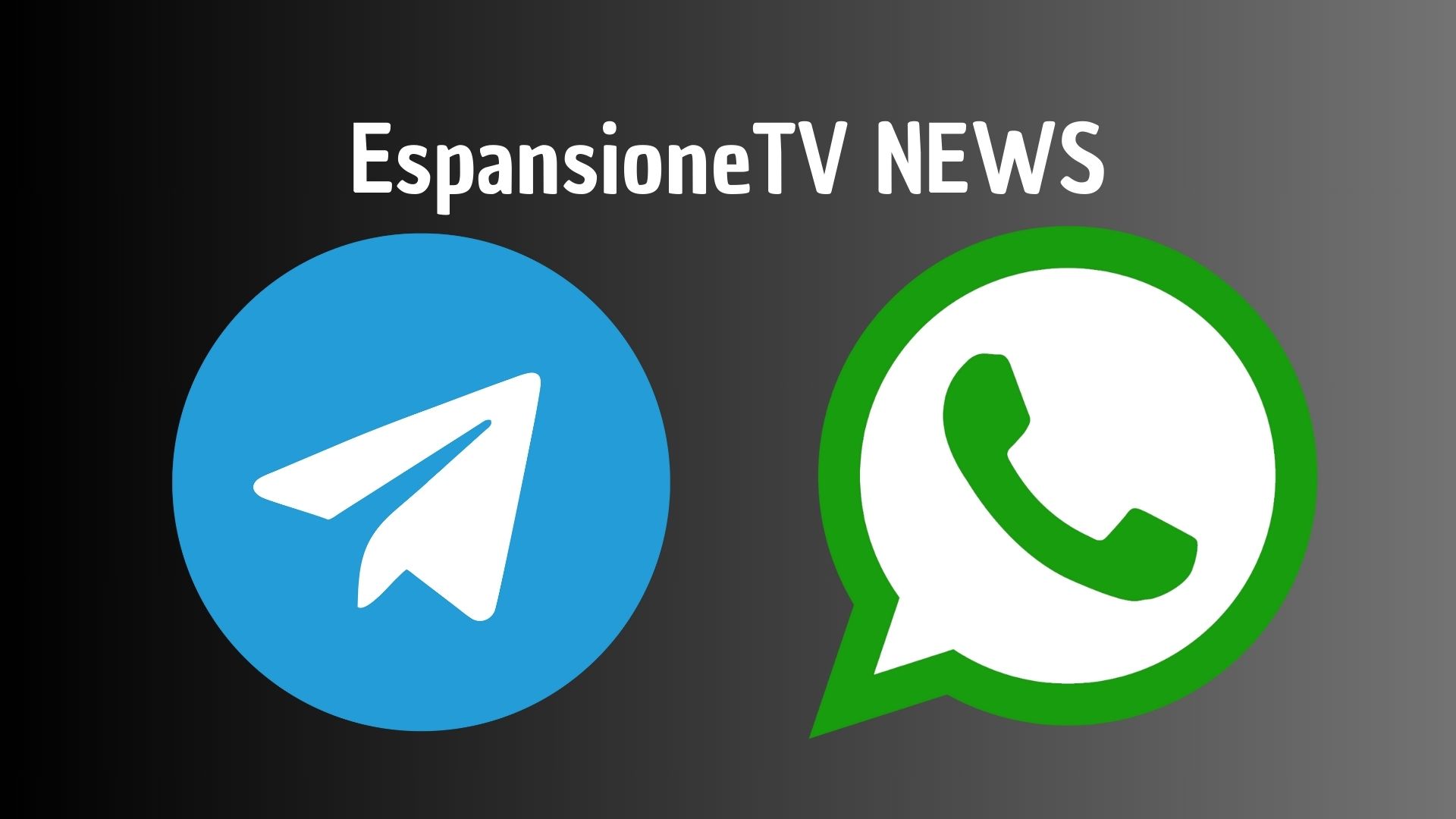 Etv apre i canali Telegram e WhatsApp: ecco come iscriversi (gratuitamente) e ricevere le notizie in tempo reale sullo smartphone