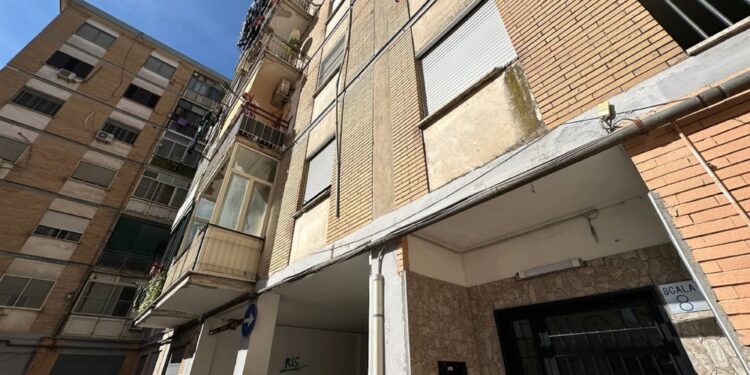 Contestata l'omessa custodia e vigilanza del pitbull