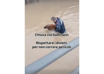 A Cecina